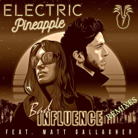 Bad Influnce (Remixes) (EP)