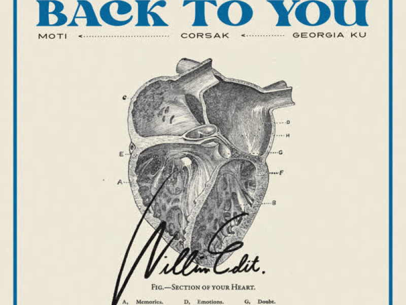 Back To You (Willim Edit) (Single)