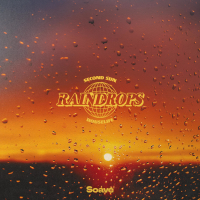 Raindrops (Single)