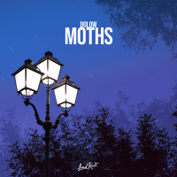 Moths (Single)