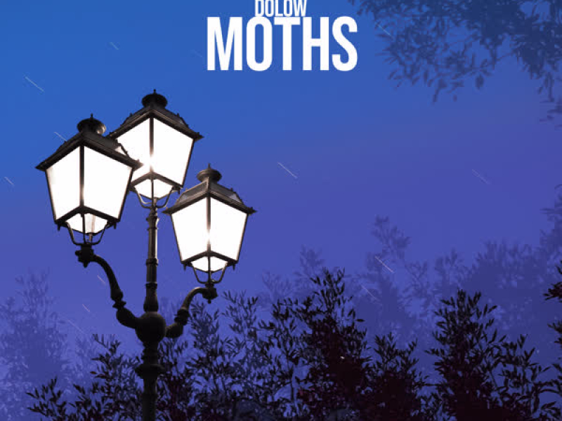 Moths (Single)