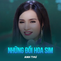 Những Đồi Hoa Sim (Rumba) (Single)