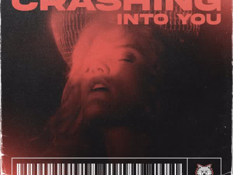 Crashing Into You (Single)