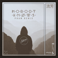 Nobody Knows (Pham Remix) (Single)