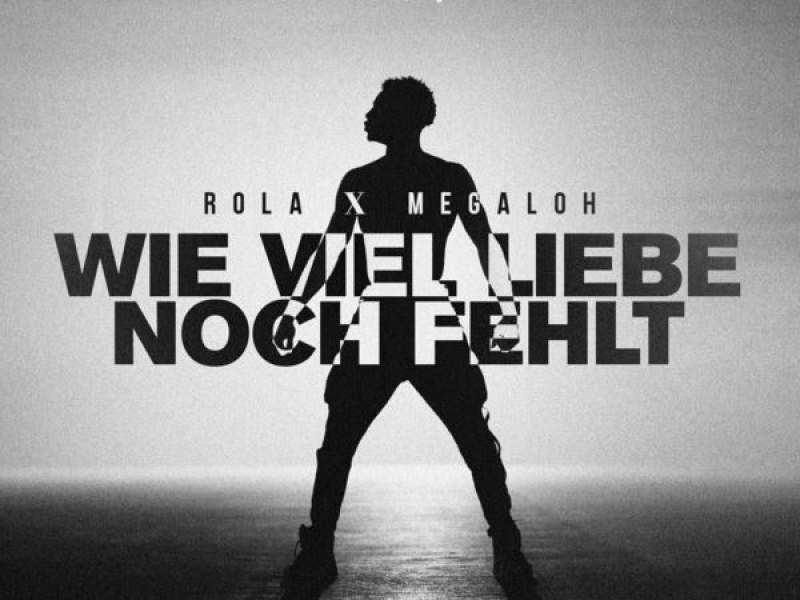 Wie Viel Liebe Noch Fehlt (Single)