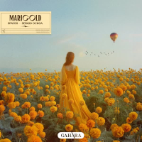 Marigold (Single)