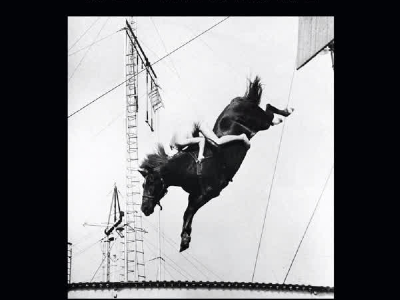 Living with Animal Ghosts