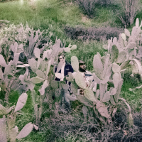 YellowStone (Single)