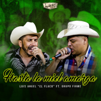 Hasta la Miel Amarga (En Vivo) (Single)