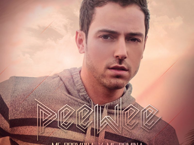 Me Provoca Y Me Domina (Remix) (Single)