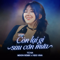 Còn Lại Gì Sau Cơn Mưa (Remix) (Single)