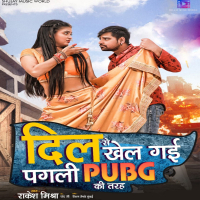 DIL SE KHEL GAI PAGALI PUBG KI TARAH (Single)