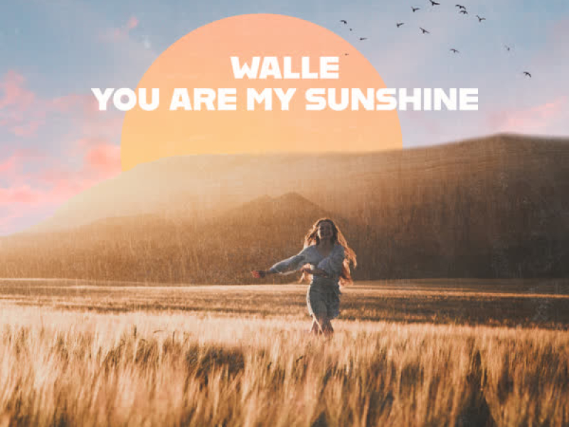 You Are My Sunshine (Single)