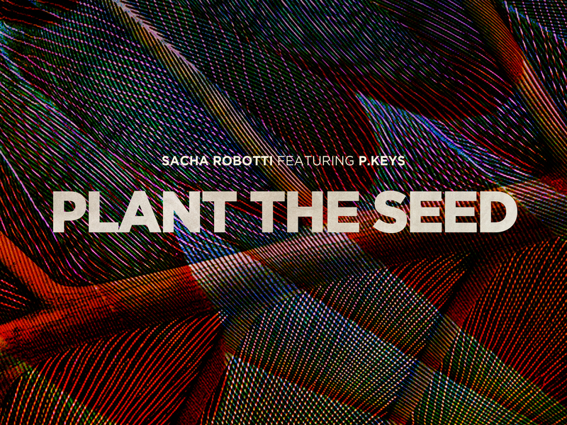 Plant The Seed