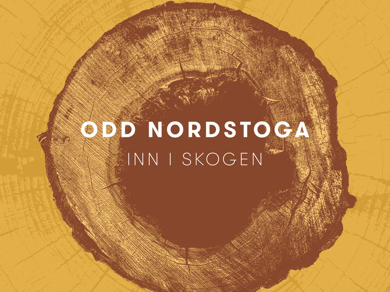 Inn i skogen