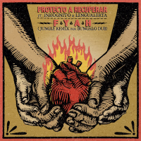 Fyah (Bungalo Dub Jungle Remix) (Single)