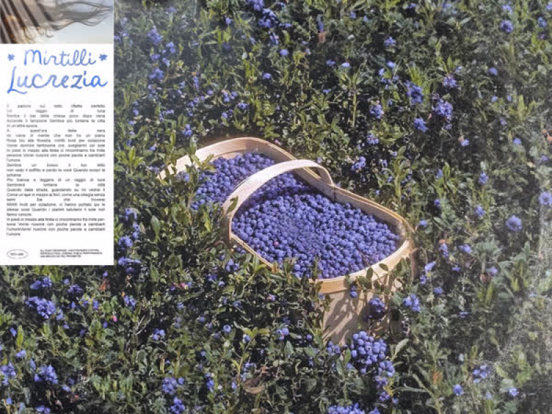 Mirtilli (Single)