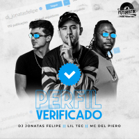 Mega Funk Perfil Verificado (Single)