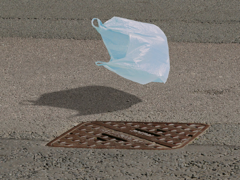 blatt im wind (Single)