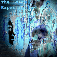 The TeTra Experiment (Single)