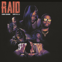 Raid (Single)