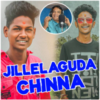 Jillelaguda Chinna Song (Single)