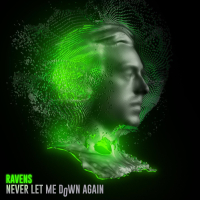 Never Let Me Down Again (Single)