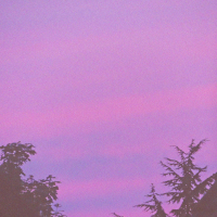 how are you even real (Single)