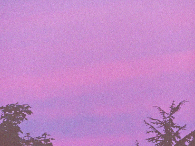 how are you even real (Single)