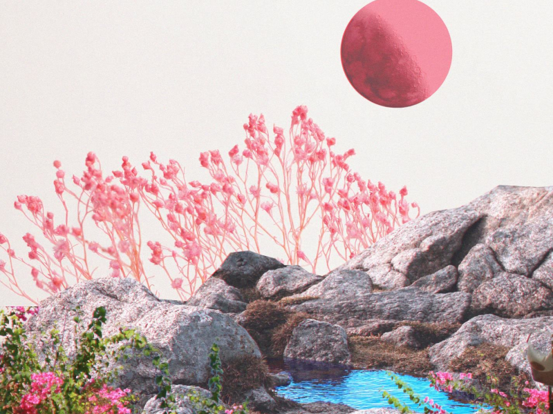 Your Love (feat. Tim Riehm) (Single)