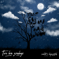 Tere Bin Zindagi (Single)