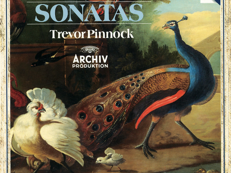 Scarlatti, D.: Sonatas