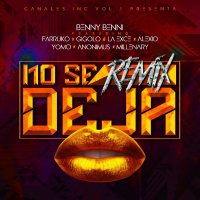 No Se Deja (Remix) (Single)