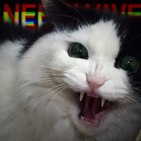 Nerd Wave (Syunman Remix Version) (Single)