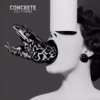 Shallow Grave (Single)