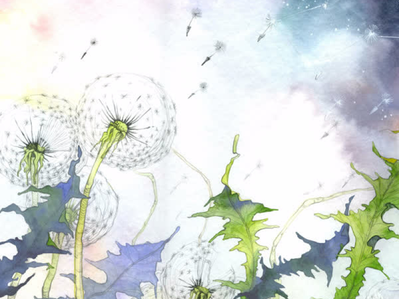 Vdol Po Rechenke (Single)