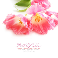 Full of love (Single)