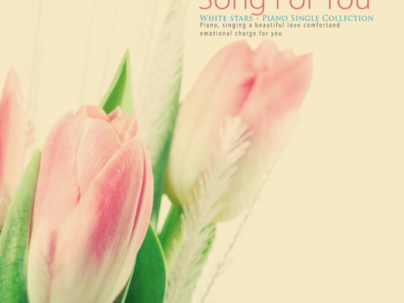 Song for you (Single)
