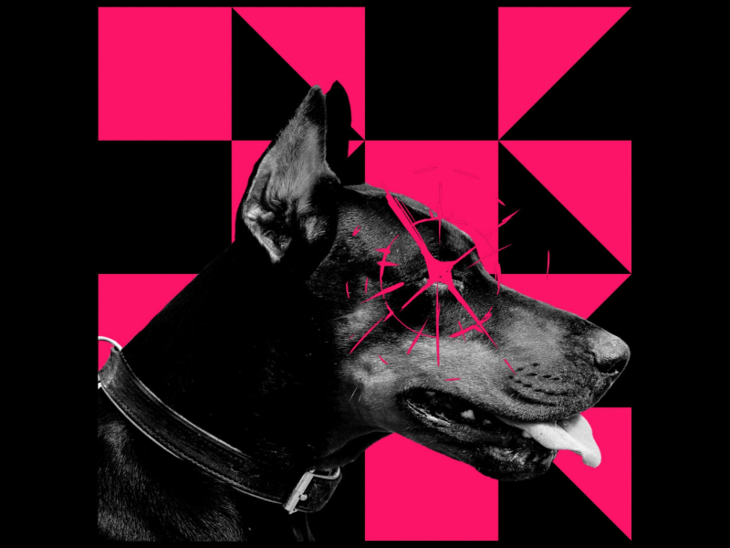 Mota (feat. Snoop Dogg & yunny goldz) (The Kid Zetsu Remix) (Single)