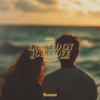 Hooked On Your Love (feat. BARMUDA) (Single)