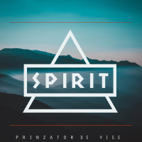 Prinzator de vise (Single)