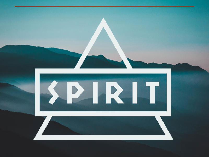 Prinzator de vise (Single)