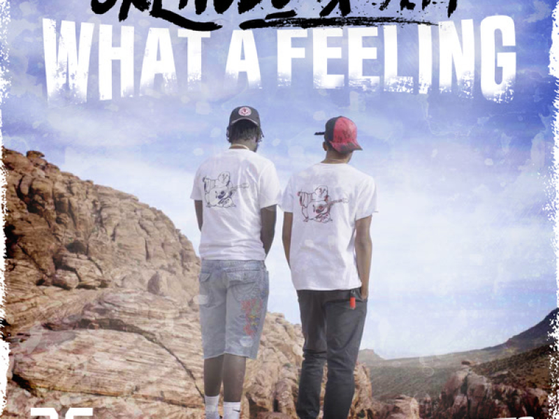 What a Feeling (Single)