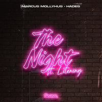 The Night (feat. Litening) (Single)