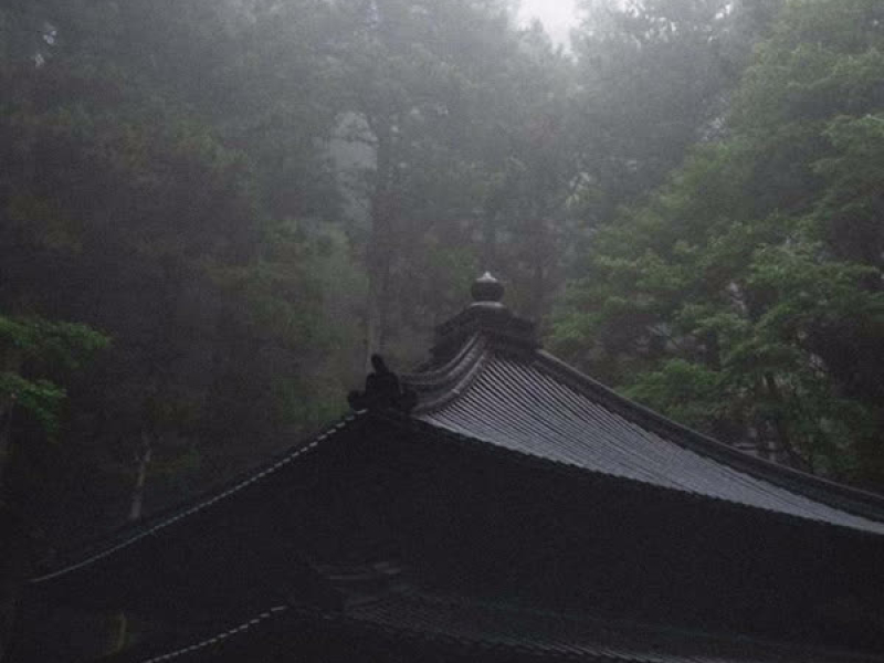 Rainy Woods (Single)