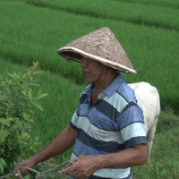 semangat kerja (Single)