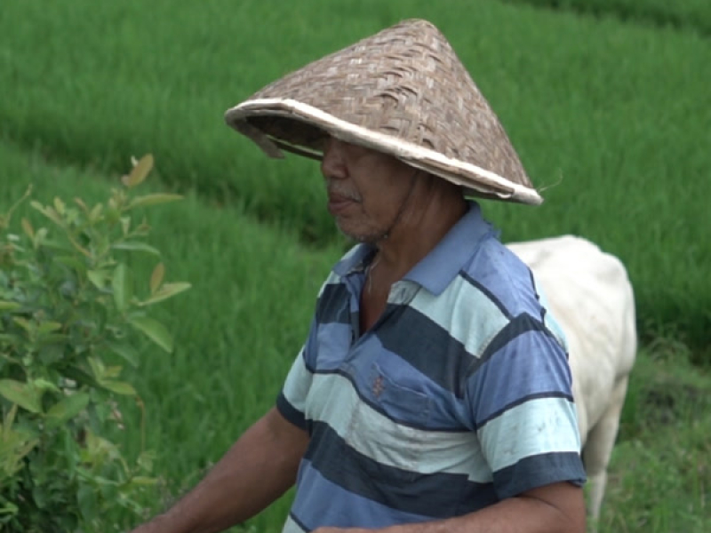 semangat kerja (Single)