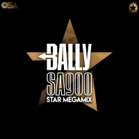 Star Megamix (Single)