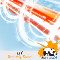 Burning Down (Single)