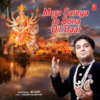 Mera Sareya To Sona Dil Daar (Single)